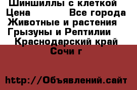 Шиншиллы с клеткой › Цена ­ 8 000 - Все города Животные и растения » Грызуны и Рептилии   . Краснодарский край,Сочи г.